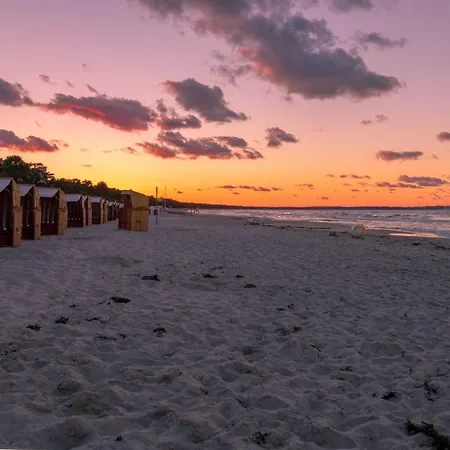 Sirene Binz
